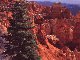Bryce Canyon!